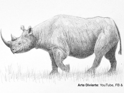 Cómo dibujar un rinoceronte negro - Narrado