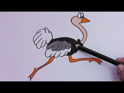 Como dibujar pintar a Avestruz - How to draw paint Ostrich