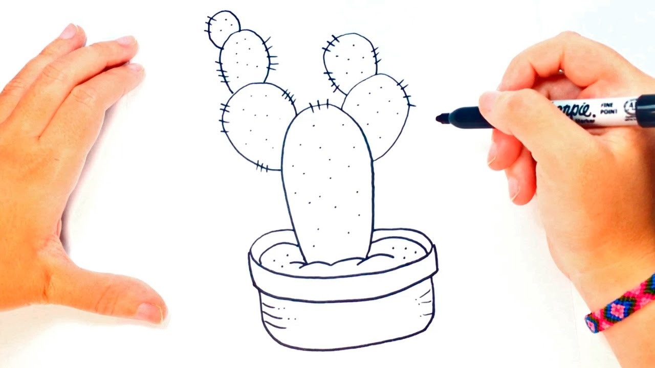 Cómo dibujar un Cactus paso a paso | Dibujo fácil de Cactus