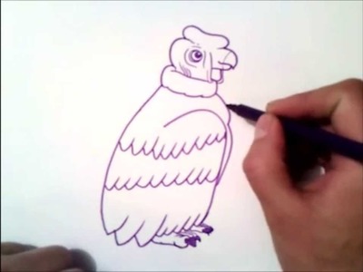 Como dibujar un condor paso a paso | como dibujar un condor