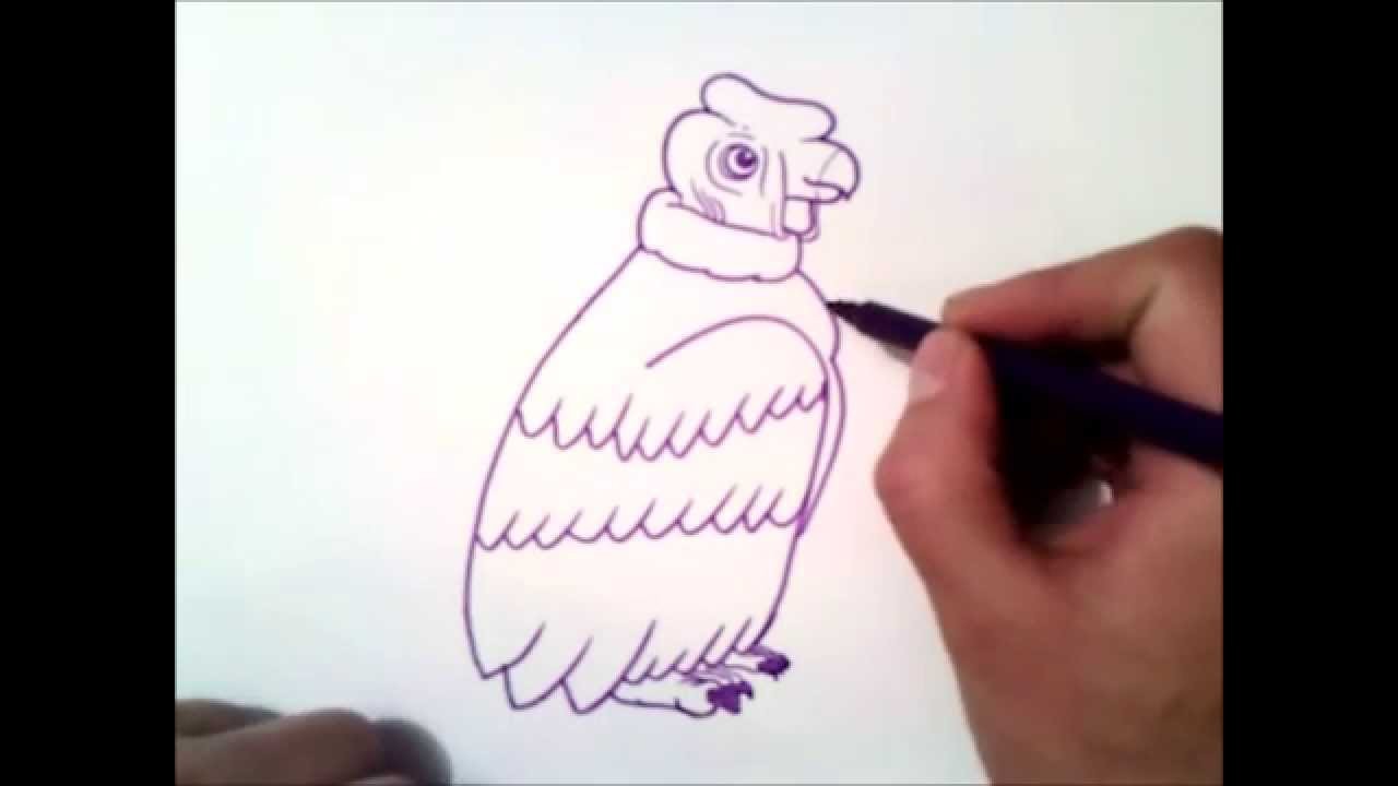 Como dibujar un condor paso a paso | como dibujar un condor