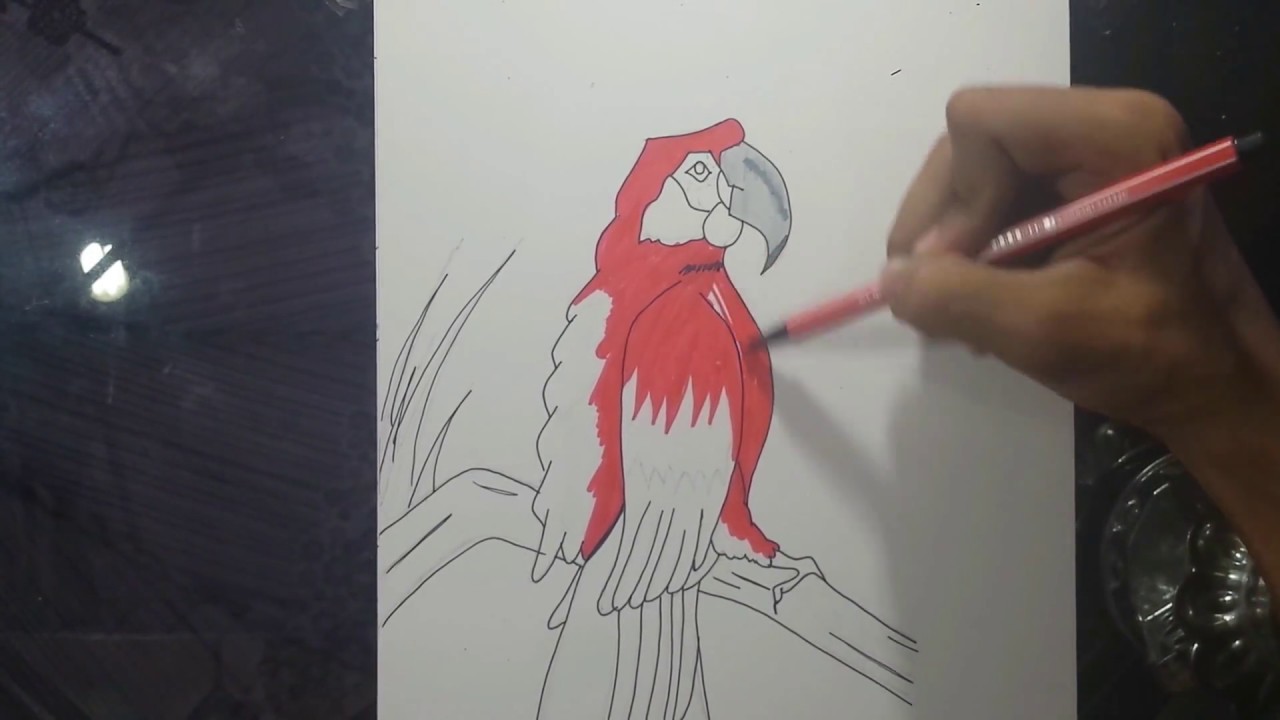 Como dibujar un pájaro paso a paso con arte abreu