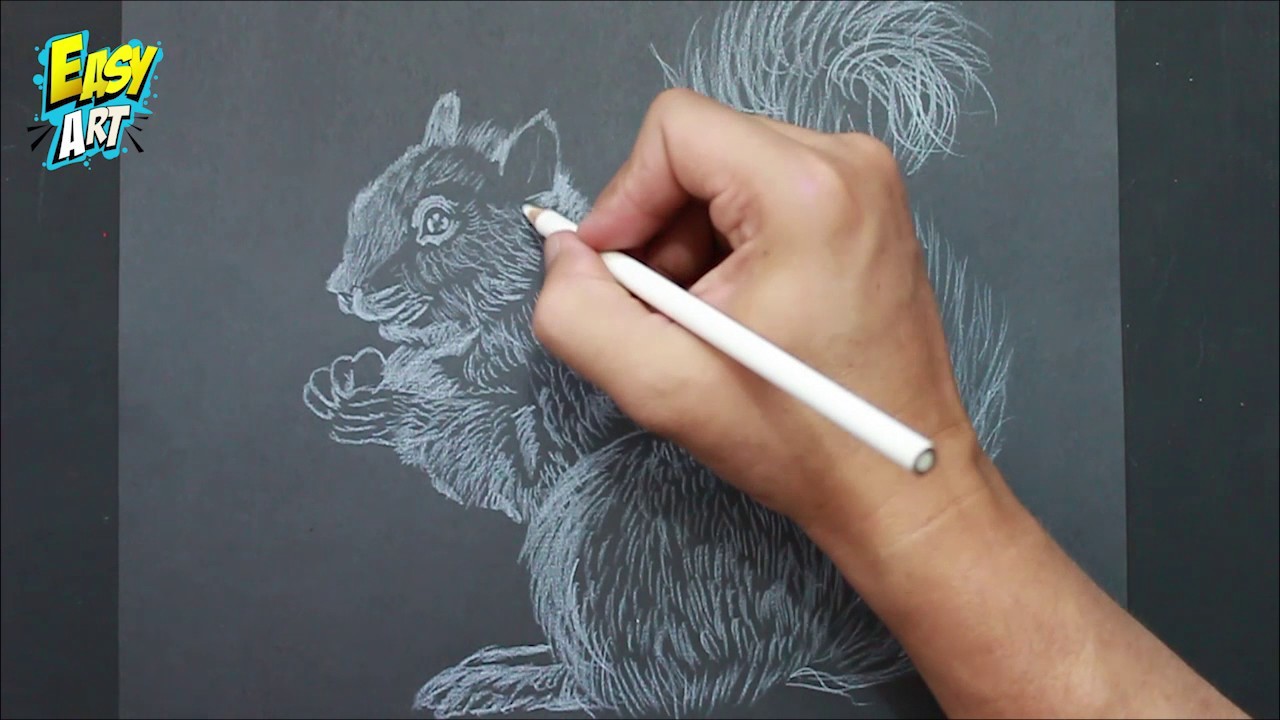 Como Dibujar una Ardilla - How to draw chipmunk - Easy Art