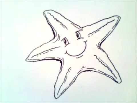 Como dibujar una estrella de mar paso a paso | como dibujar una estrella de mar