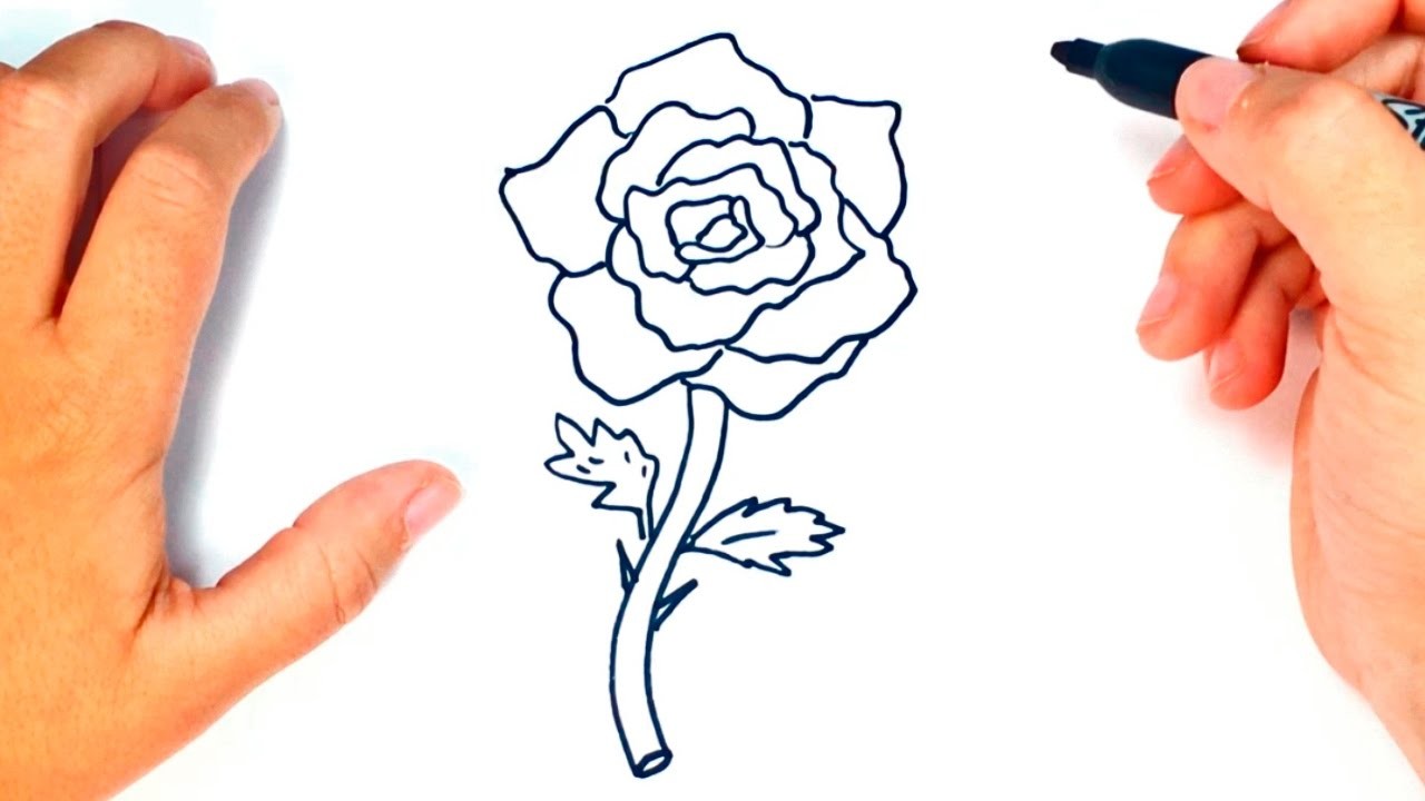 Cómo dibujar una Rosa paso a paso | Dibujo fácil de Rosa