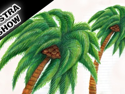 Como dibujar y colorear una PALMERA Palma Árbol Tropical Tutorial ILUSTRA SHOW