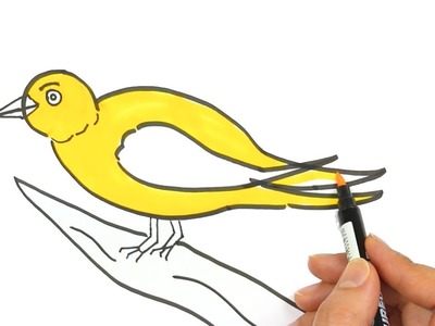 Dibujar un Pájaro | Cómo dibujar y colorear los para niños