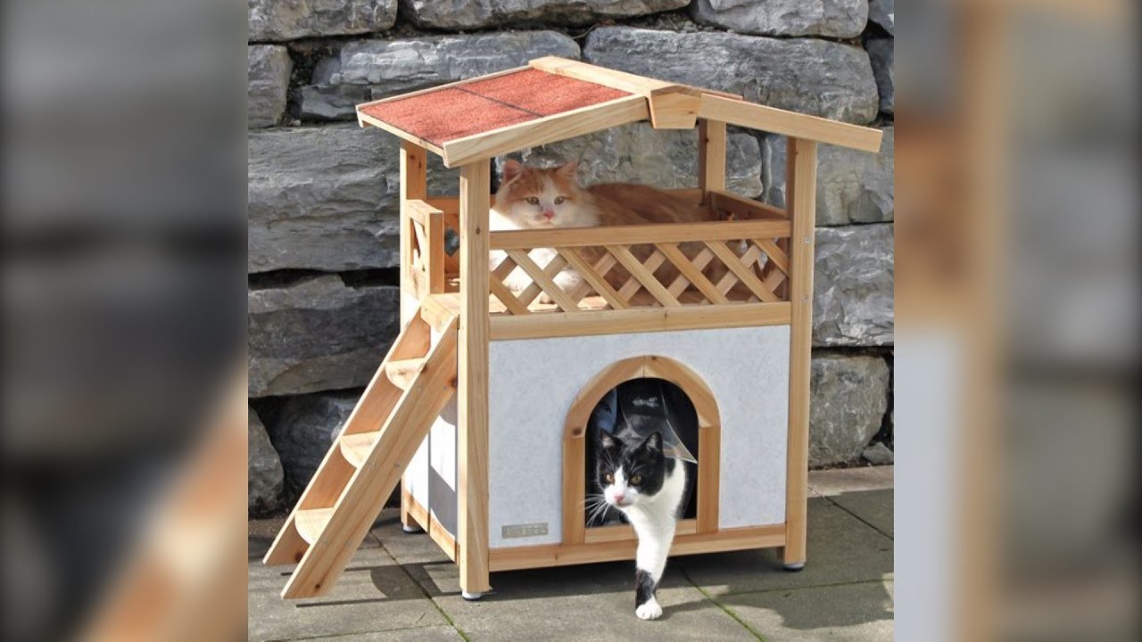 Casas para Gatos | Camas y Juegos | Ideas | Diseños Bonitos | Cat Houses