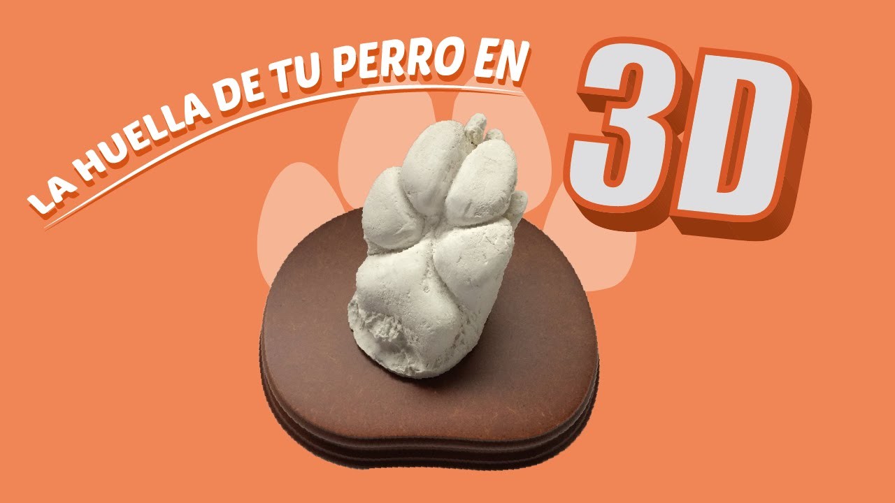 COMO HACER HUELLAS DE PERRO EN 3D