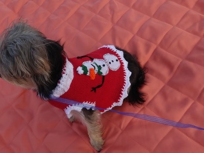 Sueter  navideño para perro reciclado y tejido a crochet.