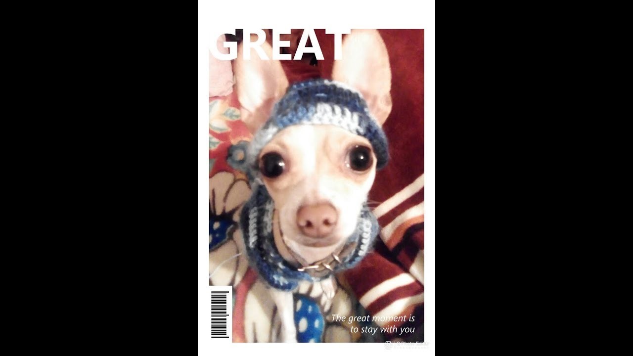 Gorrito para chihuahua a crochet (sencillo)
