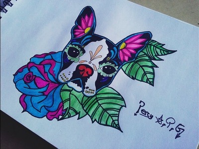 Como dibujar a un perro mexicano ✘ Art Recess