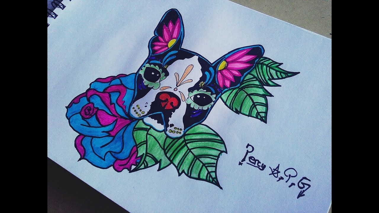 Como dibujar a un perro mexicano ✘ Art Recess