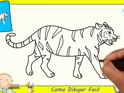 Como dibujar un tigre FACIL paso a paso para niños y principiantes 2