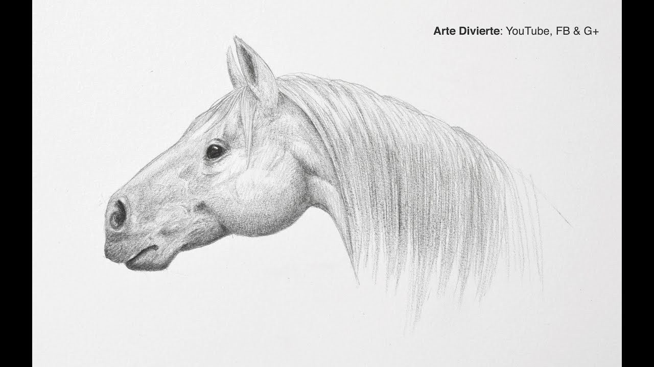 Cómo dibujar una cabeza de caballo - Paso a paso - Fácil