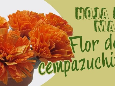 Hoja de maiz flor de CEMPAZUCHITL 108