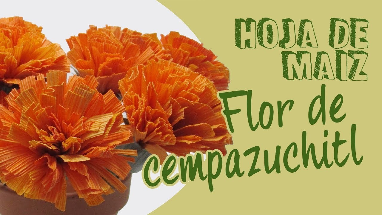 Hoja de maiz flor de CEMPAZUCHITL 108