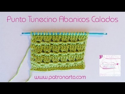 Punto Tunecino Abanicos Calados