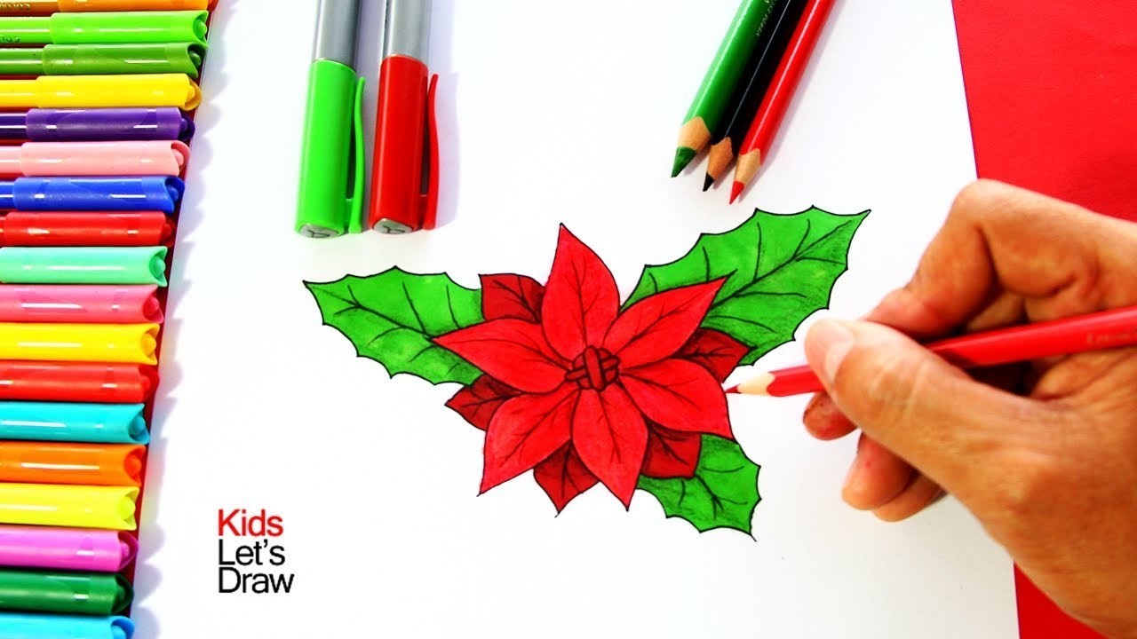 Cómo dibujar una Flor de Navidad (paso a paso) | How to draw a Christmas Flower