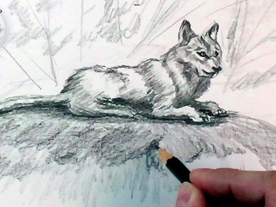 Como dibujar un lobo a lapiz, paso a paso: Como dibujar animales