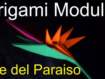 Origami Modular - Ave del Paraiso.
