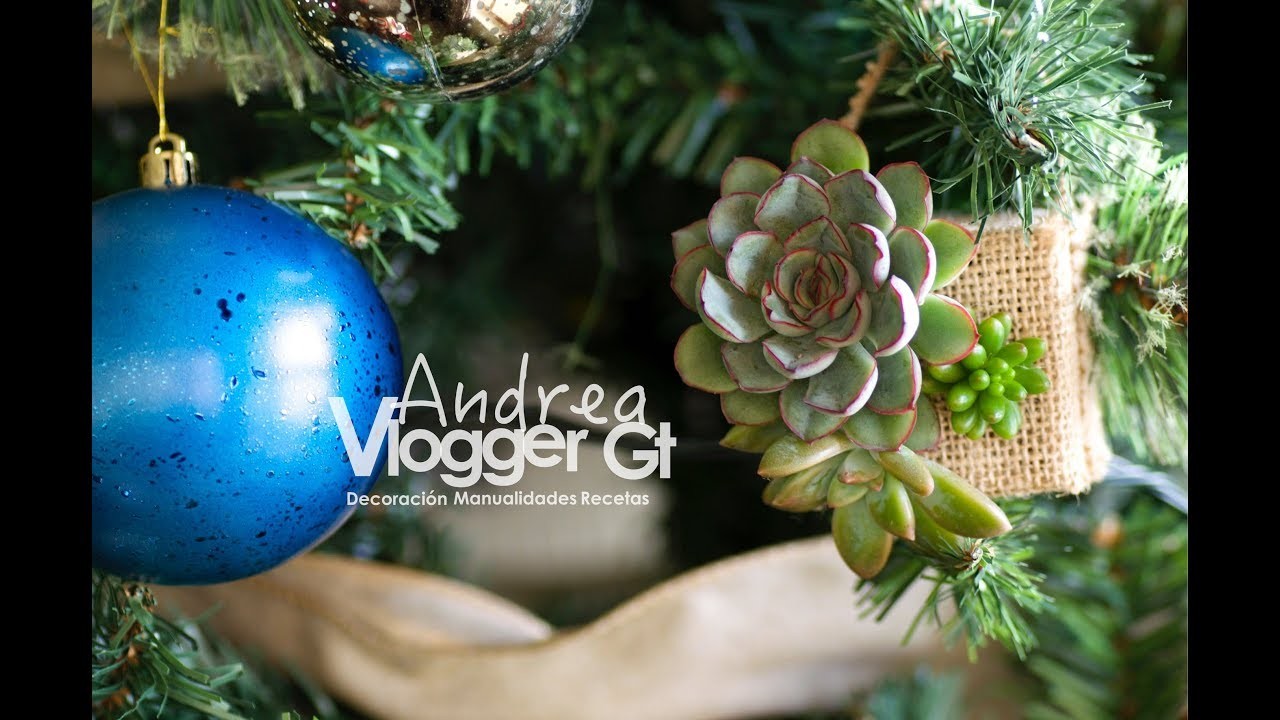 Arreglo de suculentas para el árbol de navidad || Succulent arrangement for Christmas Tree