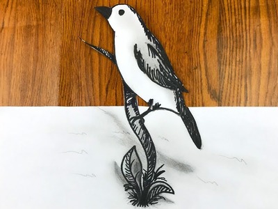 Ilusiones Opticas - Dibujando Pajaro 3D Realista
