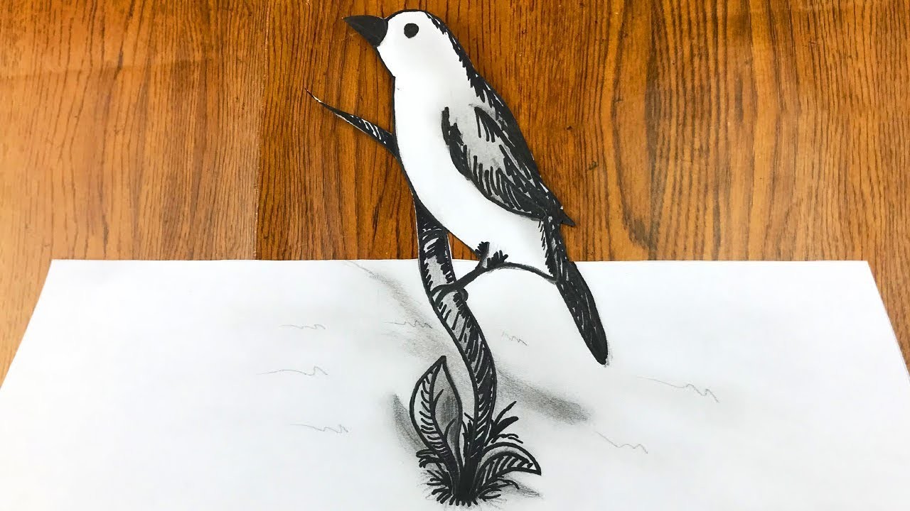 Ilusiones Opticas - Dibujando Pajaro 3D Realista
