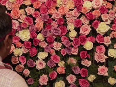 Muro de Rosas. Pared Floral. T3E21 Picando Flores