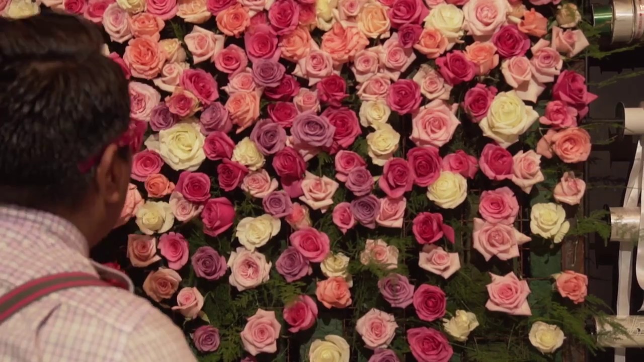 Muro de Rosas. Pared Floral. T3E21 Picando Flores