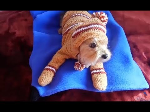 Sueter para perro con mitones y capucha  parte 2.Sweater for Dogs with mittens pt 2