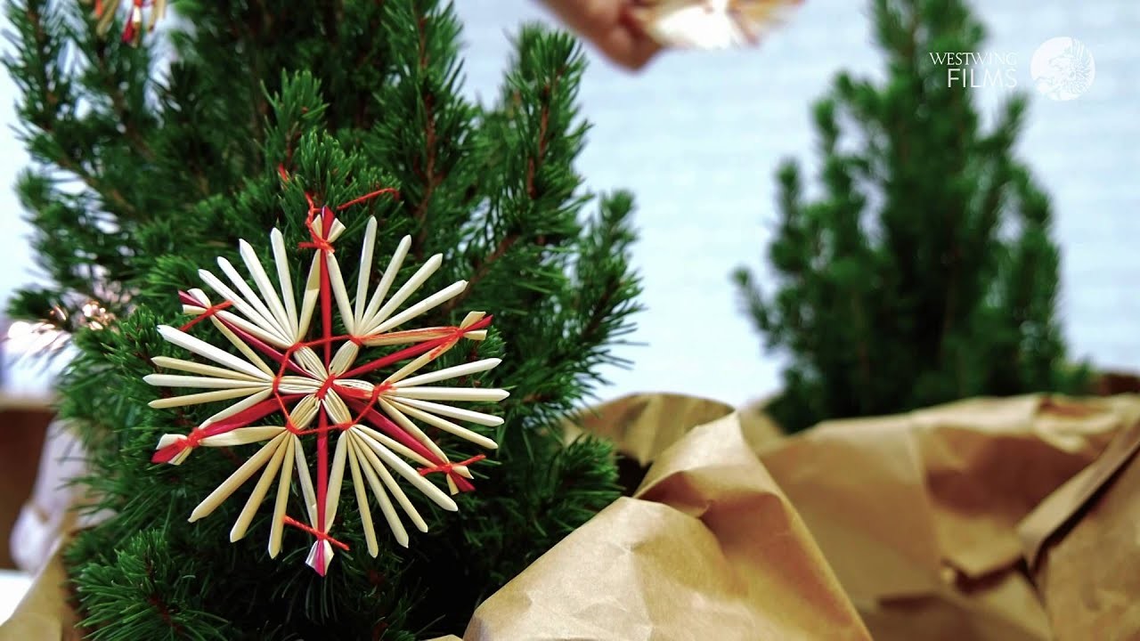 Adornos navideños: crea un mini bosque de Navidad | DIY Westwing
