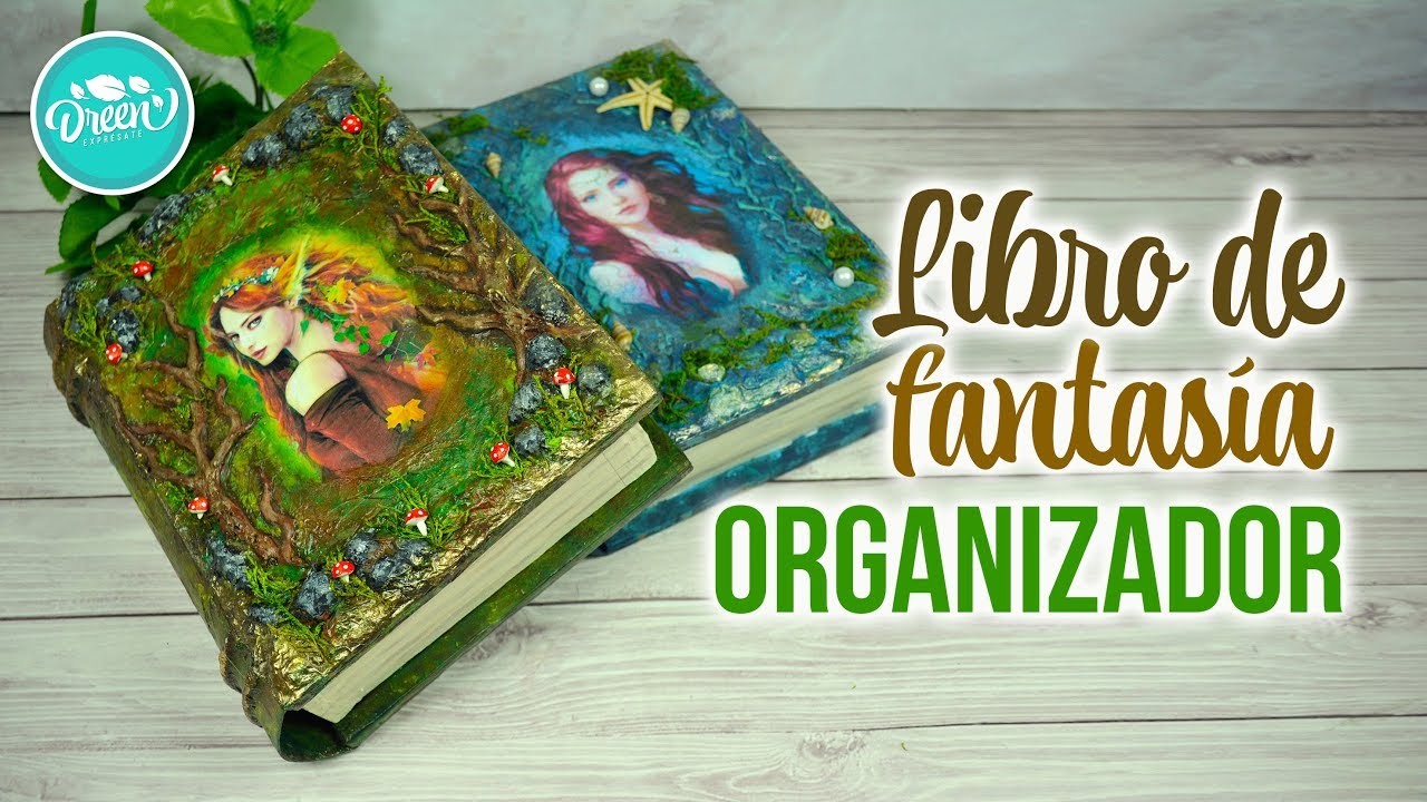 DIY ORGANIZADOR Libro de Fantasía CON CARTÓN | RECICLAJE CREATIVO | DREEN