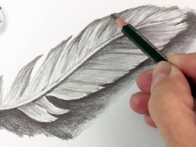 Como Dibujar una pluma a Lapiz | Tecnicas de Dibujo con Lapiz