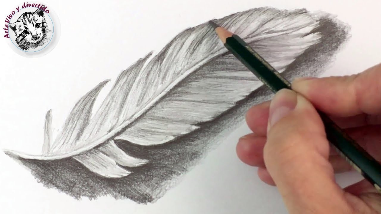 Como Dibujar una pluma a Lapiz | Tecnicas de Dibujo con Lapiz