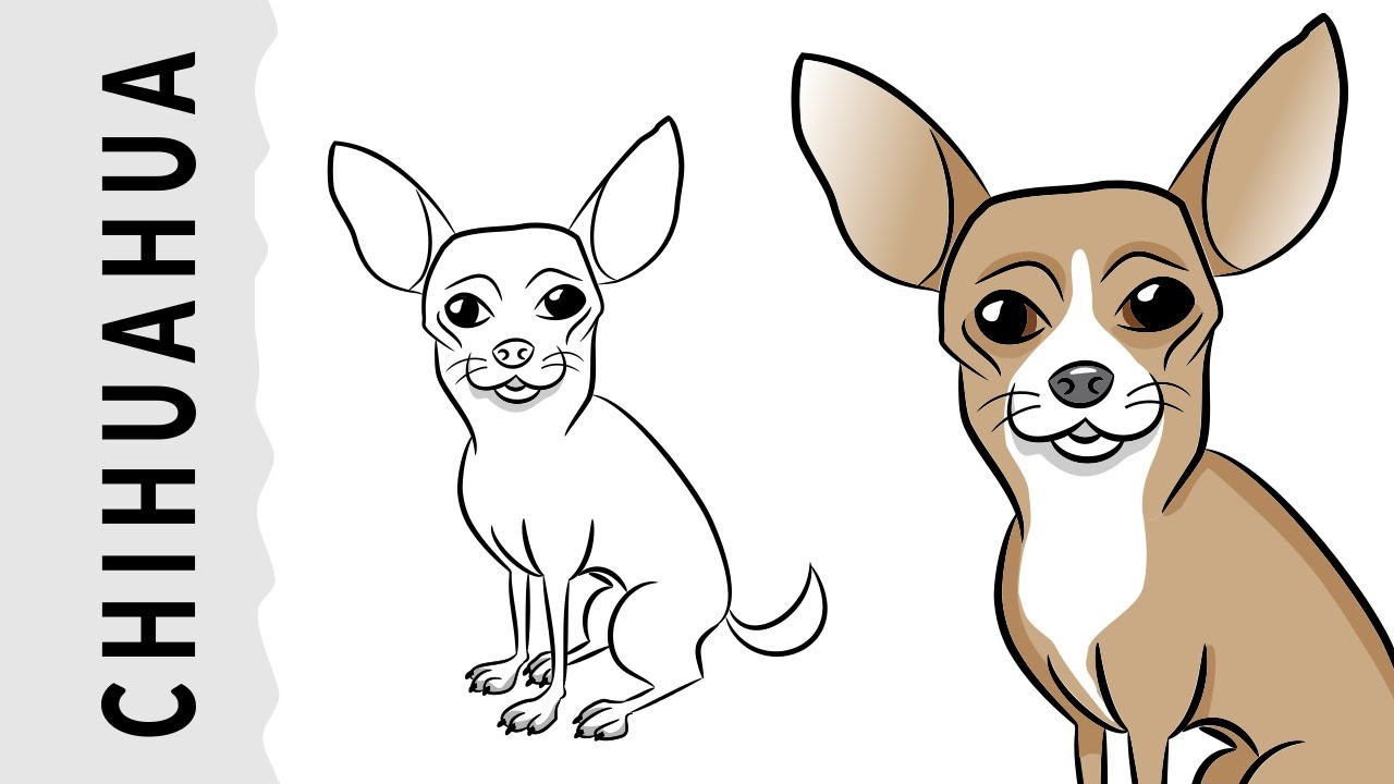 Cómo dibujar un perro Chihuahua paso a paso con dibujart.com