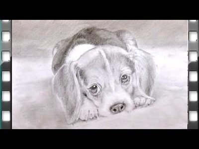 Como dibujar un perro tierno | como dibujar un perro tierno paso a paso