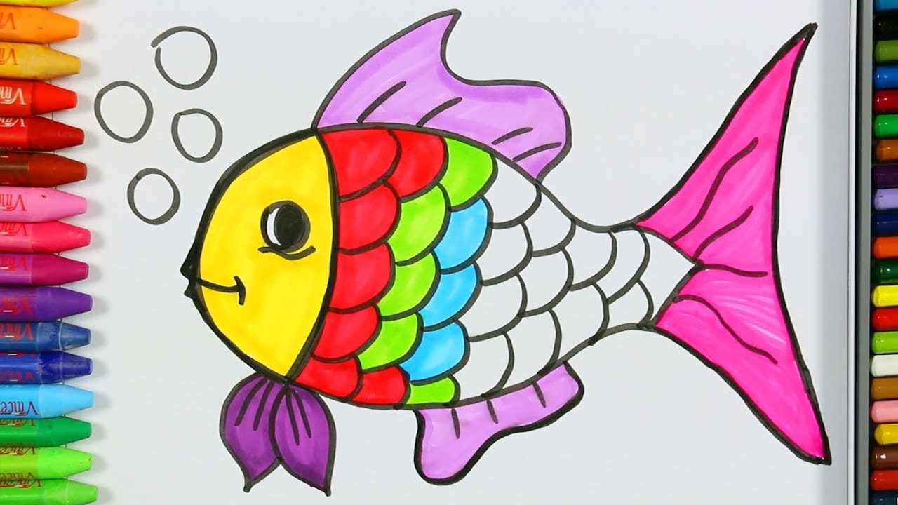 Página para colorear peces????| Cómo dibujar y colorear peces | Pintura de pescado | Aprender colorear