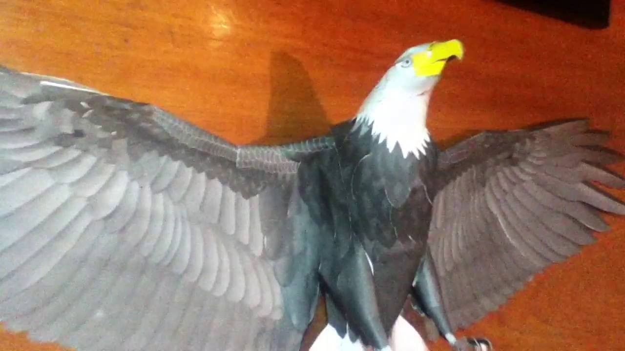 Modelo de águila en papercraft