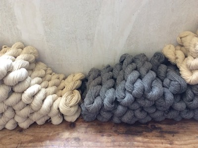 Tres Pompones 1 - A veces pasan cosas