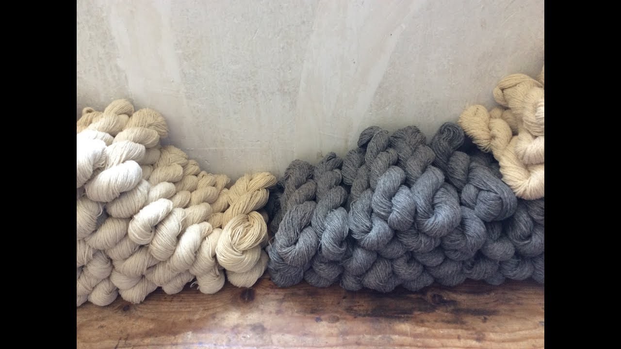 Tres Pompones 1 - A veces pasan cosas