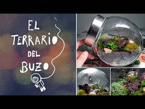 DIY Tutorial: Terrario eterno paso a paso - El terrario del buzo