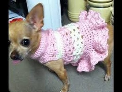 Como tejer ropa para perros pequeños