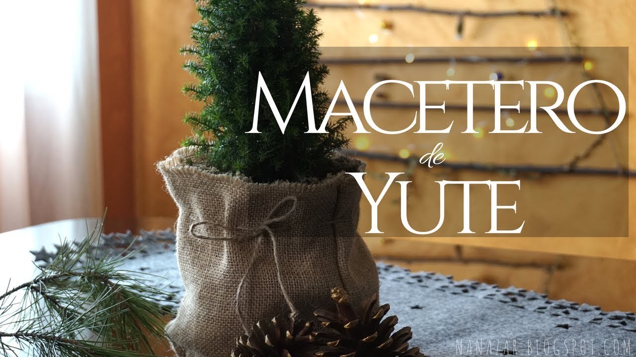 Macetero de yute (Jute maceter)