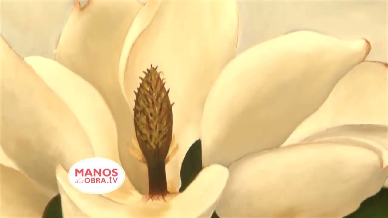 (Pintura Decorativa) Como pintar una Magnolia con Oleos?