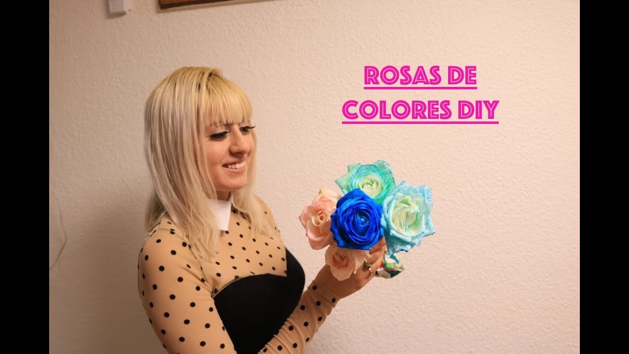 Rosas  de colores DIY