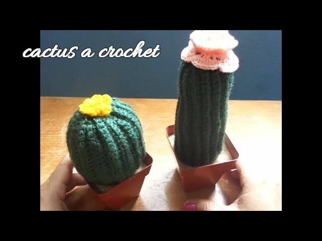 Cactus a crochet (dos modelos)