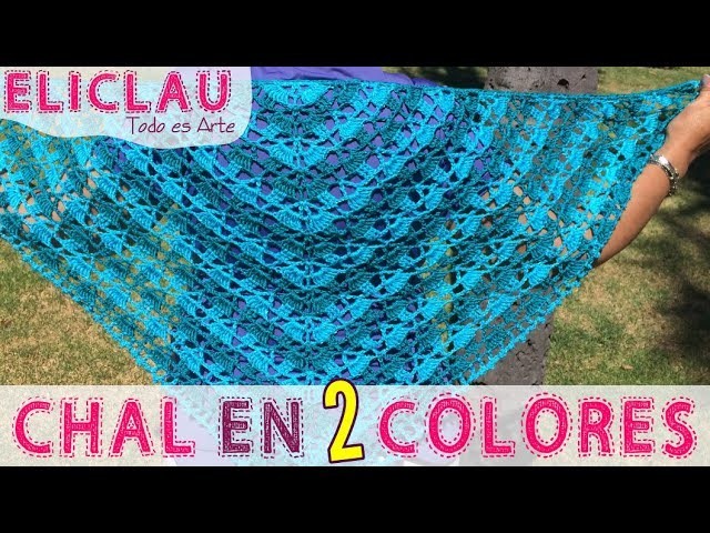 Chal en 2 colores y Esquema de puntos | Chal en 2 colores y Esquema | EliClau