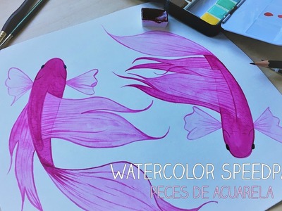 Peces acuarela | Watercolor Speedpaint