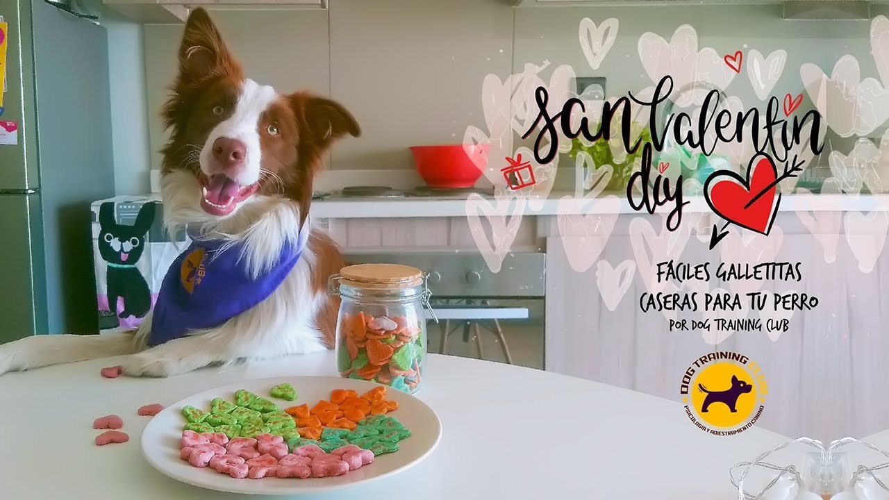 Galletas San Valentin para mascotas DIY